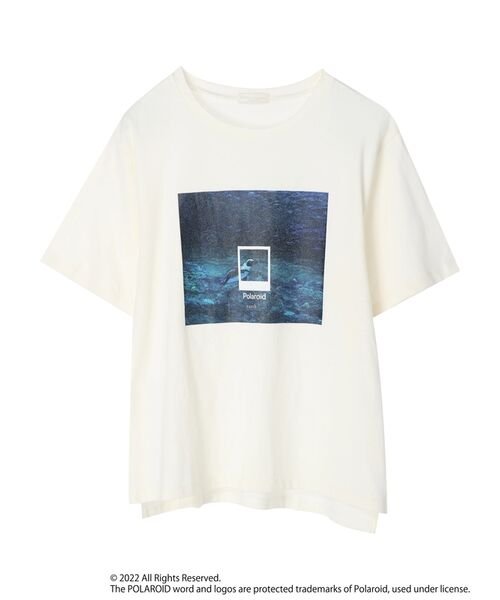 earth music&ecology(アースミュージック＆エコロジー)/Polaroid 半袖Tシャツ/img55