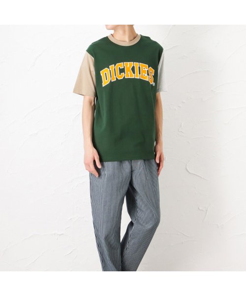 MAC HOUSE(men)(マックハウス（メンズ）)/Dickies ディッキーズ ロゴプリント半袖Tシャツ 2278－1434/img06