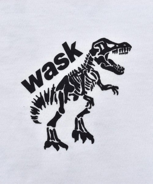 WASK(ワスク)/【 接触冷感 】 恐竜 化石 ツイン ロゴ プリント 天竺 Tシャツ（100~1/img15