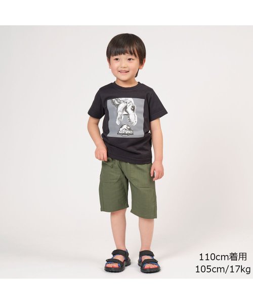セール 子供服 Little Bear Club リトルベアークラブ ジュラシックワールドｔシャツ 90cm 130cm S エルビークラブ Lb Club Magaseek