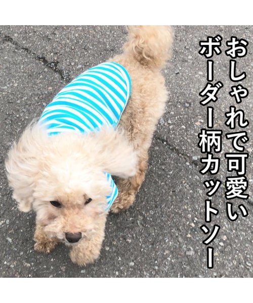 HAPPY DOG!!(はっぴーDOG！！)/犬 服 犬服 いぬ 犬の服 Tシャツ カットソー 袖あり ボーダー くま クマ ドッグウェア 【春 夏 春夏 春服 夏服 春物 夏物】【男の子 小型犬 中型犬】/img01