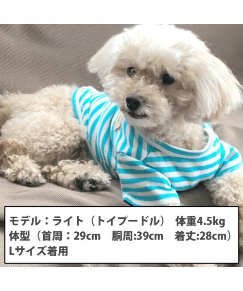 HAPPY DOG!!(はっぴーDOG！！)/犬 服 犬服 いぬ 犬の服 Tシャツ カットソー 袖あり ボーダー くま クマ ドッグウェア 【春 夏 春夏 春服 夏服 春物 夏物】【男の子 小型犬 中型犬】/img02