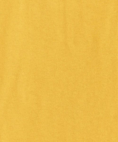 Rocky Monroe(ロッキーモンロー)/Tシャツ 半袖 メンズ レディース カレッジ アメカジ カジュアル カットソー ミシガン ストリート フェルト刺繍 ライン リブ リンガーネック ビッグシルエッ/img18