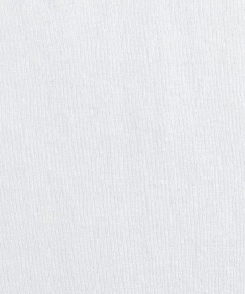 Rocky Monroe(ロッキーモンロー)/Tシャツ 半袖 メンズ レディース カットソー プリント カレッジ アメカジ ウルトラコットン 丸胴 ビッグシルエット ルーズ オーバーサイズ ストリート カジ/img12