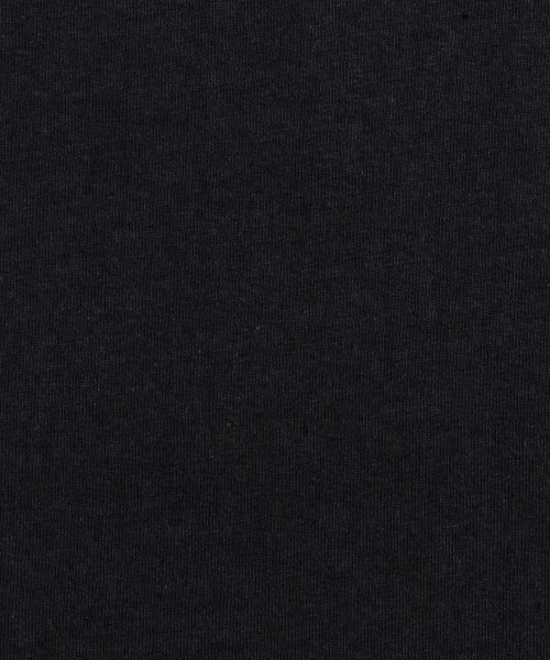 Rocky Monroe(ロッキーモンロー)/Tシャツ 半袖 メンズ レディース カットソー プリント カレッジ アメカジ ウルトラコットン 丸胴 ビッグシルエット ルーズ オーバーサイズ ストリート カジ/img25