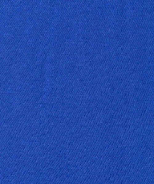 Rocky Monroe(ロッキーモンロー)/Tシャツ 半袖 カットソー メンズ レディース ビッグシルエット オーバーサイズ ゆったり ルーズ ワイド クルーネック スーベニア刺繍 虎 タイガー TC天竺/img15