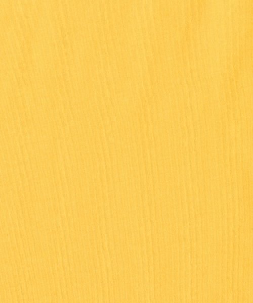 Rocky Monroe(ロッキーモンロー)/Tシャツ 半袖 カットソー メンズ レディース ビッグシルエット オーバーサイズ ゆったり ルーズ ワイド クルーネック スーベニア刺繍 地図柄 マップ TC天/img22