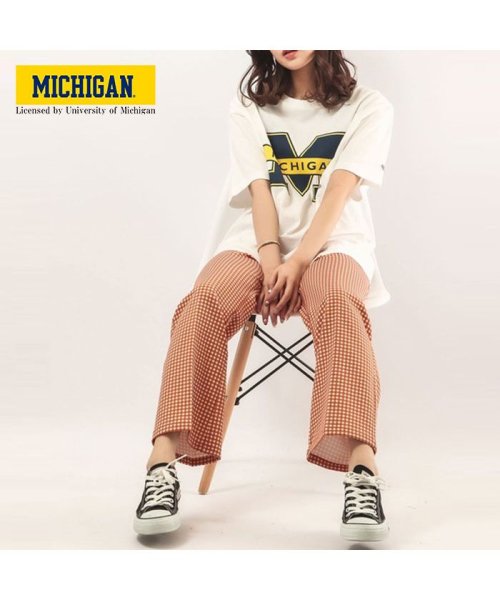 JEMORGAN(ジェーイーモーガン)/【MICHIGAN（ミシガン大学】ヘビーウェイトミシガン大学Ｔｅｅ　/　MICHIGAN/img06