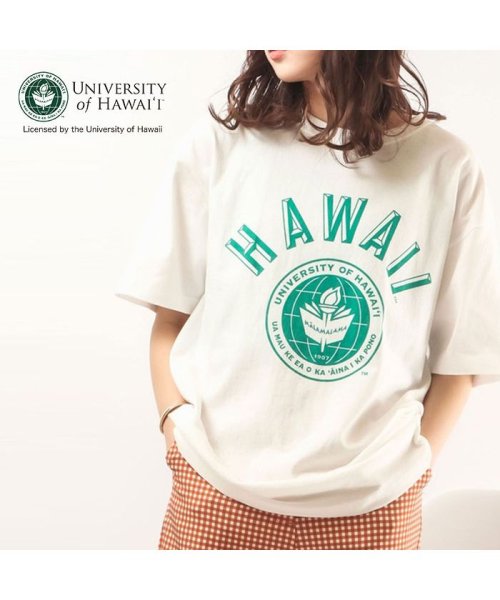 JEMORGAN(ジェーイーモーガン)/【HAWAI'I（ハワイ大学）】ヘビーウェイトハワイ大学Ｔｅｅ　/　HAWAII/img15