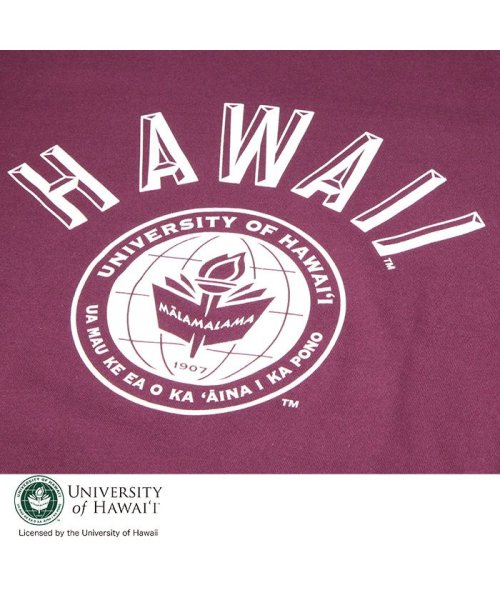 JEMORGAN(ジェーイーモーガン)/【HAWAI'I（ハワイ大学）】ヘビーウェイトハワイ大学Ｔｅｅ　/　HAWAII/img19