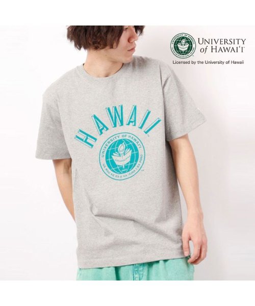 JEMORGAN(ジェーイーモーガン)/【HAWAI'I（ハワイ大学）】ヘビーウェイトハワイ大学Ｔｅｅ　/　HAWAII/img22