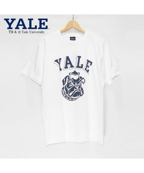 JEMORGAN(ジェーイーモーガン)/【YALE（イェール大学）】ヘビーウェイトイェール大学Ｔｅｅ　/　YALE/img01