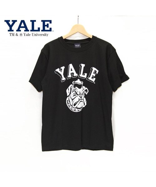 JEMORGAN(ジェーイーモーガン)/【YALE（イェール大学）】ヘビーウェイトイェール大学Ｔｅｅ　/　YALE/img02