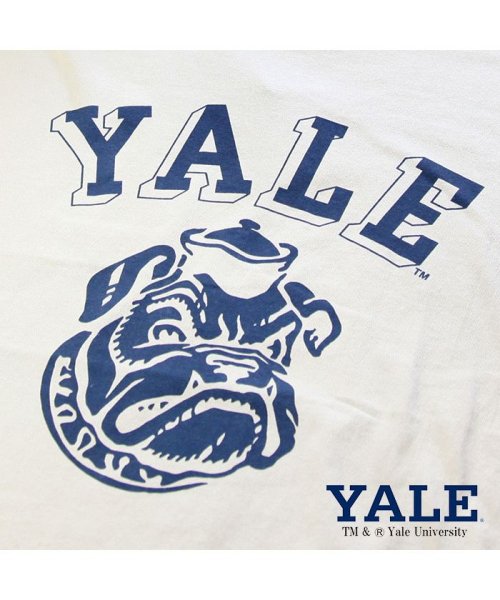 JEMORGAN(ジェーイーモーガン)/【YALE（イェール大学）】ヘビーウェイトイェール大学Ｔｅｅ　/　YALE/img06