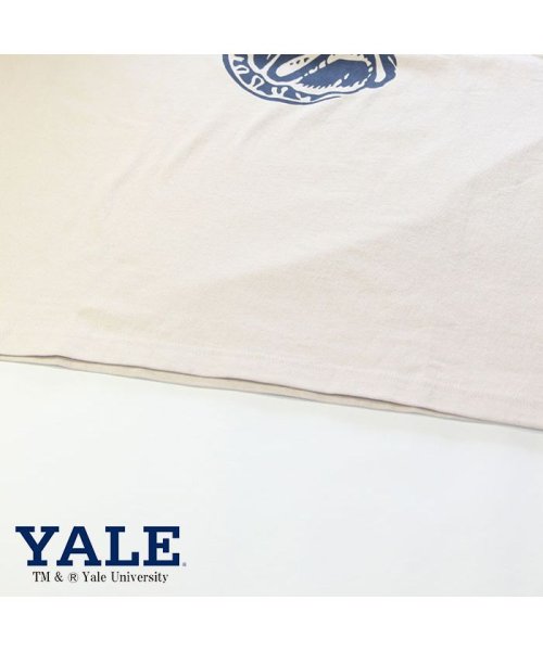 JEMORGAN(ジェーイーモーガン)/【YALE（イェール大学）】ヘビーウェイトイェール大学Ｔｅｅ　/　YALE/img08