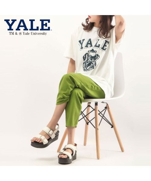 JEMORGAN(ジェーイーモーガン)/【YALE（イェール大学）】ヘビーウェイトイェール大学Ｔｅｅ　/　YALE/img12