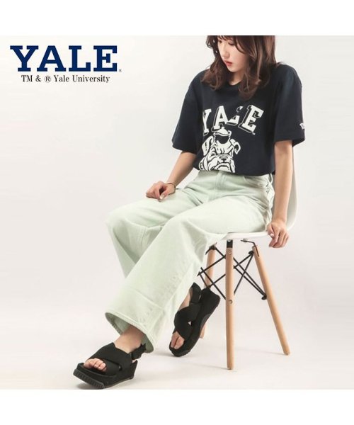 JEMORGAN(ジェーイーモーガン)/【YALE（イェール大学）】ヘビーウェイトイェール大学Ｔｅｅ　/　YALE/img15