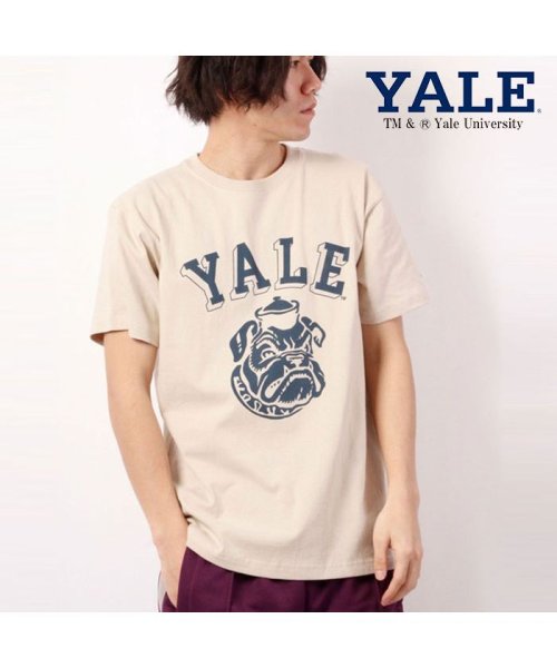 JEMORGAN(ジェーイーモーガン)/【YALE（イェール大学）】ヘビーウェイトイェール大学Ｔｅｅ　/　YALE/img18