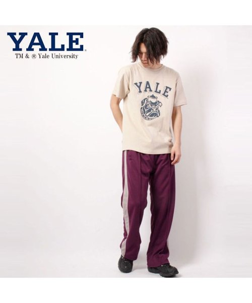 JEMORGAN(ジェーイーモーガン)/【YALE（イェール大学）】ヘビーウェイトイェール大学Ｔｅｅ　/　YALE/img19