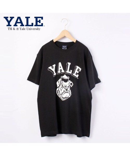 JEMORGAN(ジェーイーモーガン)/【YALE（イェール大学）】ヘビーウェイトイェール大学Ｔｅｅ　/　YALE/img22