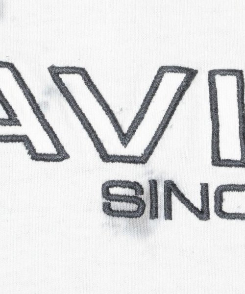 AVIREX(AVIREX)/ファジー タイダイ ロゴ Tシャツ/FUZZY TIE DYE LOGO T－SHIRT/img01