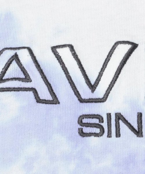 AVIREX(AVIREX)/ファジー タイダイ ロゴ Tシャツ/FUZZY TIE DYE LOGO T－SHIRT/img08