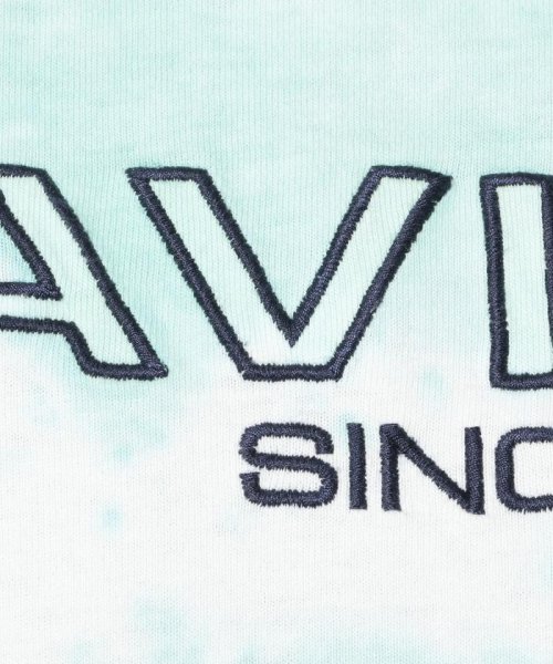 AVIREX(AVIREX)/ファジー タイダイ ロゴ Tシャツ/FUZZY TIE DYE LOGO T－SHIRT/img10