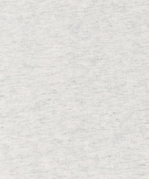 Rocky Monroe(ロッキーモンロー)/カレッジT ハーフジップTシャツ メンズ レディース 半袖 襟 サテン刺繍 オーバーサイズ ビッグシルエット ワイド 綿 コットン カジュアル アメカジ 韓国 /img27