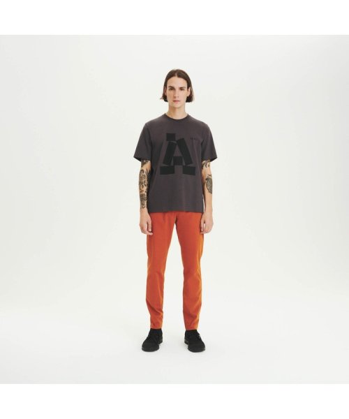 ＡＩＧＬＥ MEN(エーグル　メンズ)/オーガニックコットン グラフィック半袖Tシャツ（ASSORT）/img07