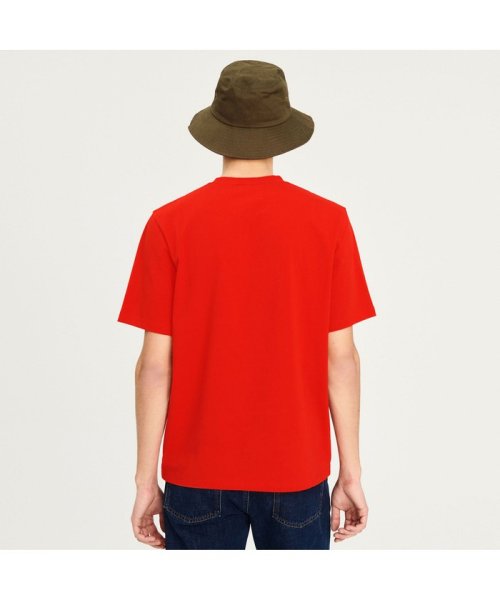 ＡＩＧＬＥ MEN(エーグル　メンズ)/オーガニックコットン グラフィック半袖Tシャツ（ASSORT）/img14