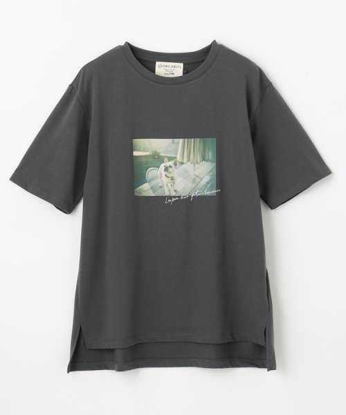 anyFAM(anyFAM)/【接触冷感・UVケア】TCオーガビッツアソートプリント Tシャツ/img15