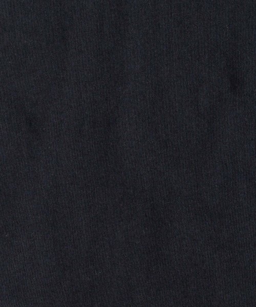Rocky Monroe(ロッキーモンロー)/カレッジT ハーフジップTシャツ メンズ レディース 半袖 襟 カレッジプリント オーバーサイズ ビッグシルエット ワイド 綿 コットン カジュアル アメカジ /img12