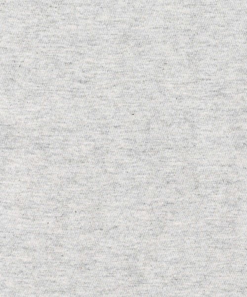 Rocky Monroe(ロッキーモンロー)/カレッジT ハーフジップTシャツ メンズ レディース 半袖 襟 カレッジプリント オーバーサイズ ビッグシルエット ワイド 綿 コットン カジュアル アメカジ /img18