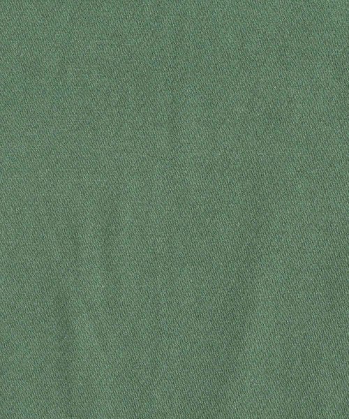 Rocky Monroe(ロッキーモンロー)/カレッジT ハーフジップTシャツ メンズ レディース 半袖 襟 カレッジプリント オーバーサイズ ビッグシルエット ワイド 綿 コットン カジュアル アメカジ /img40