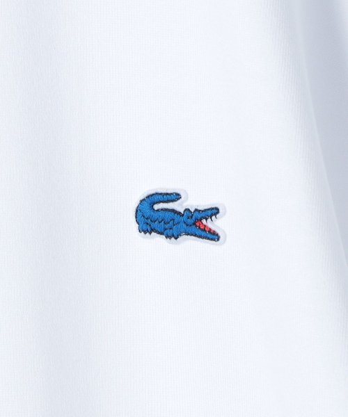 SHIPS any MEN(シップス　エニィ　メン)/【SHIPS any別注】LACOSTE: NEW ヘビーウェイト コットン 長袖Tシャツ◇/img36