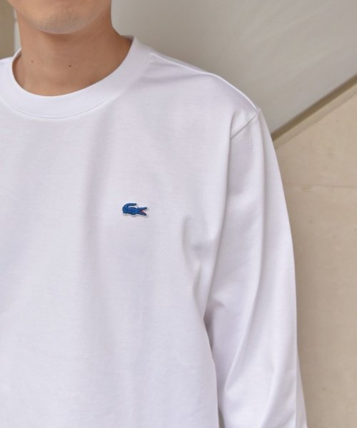 SHIPS any MEN(シップス　エニィ　メン)/【SHIPS any別注】LACOSTE: NEW ヘビーウェイト コットン 長袖Tシャツ◇/img42