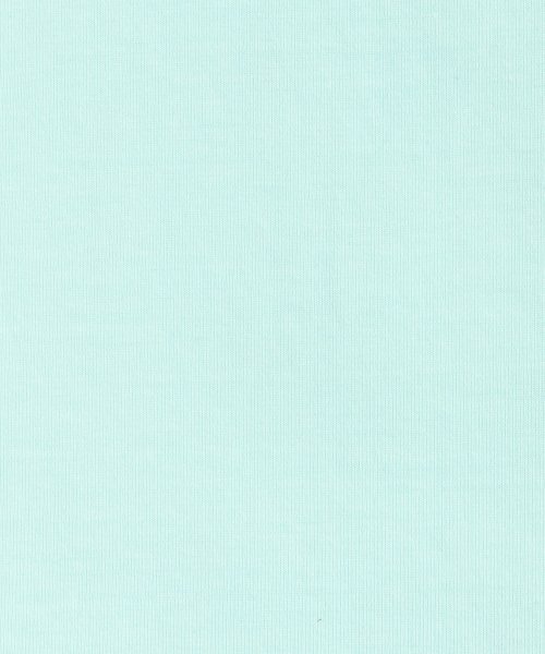Rocky Monroe(ロッキーモンロー)/半袖Tシャツ タンクトップ アンサンブル メンズ レディース レイヤード 重ね着 無地 綿 コットン ビッグシルエット オーバーサイズ ノースリーブ ルーズ ロ/img24