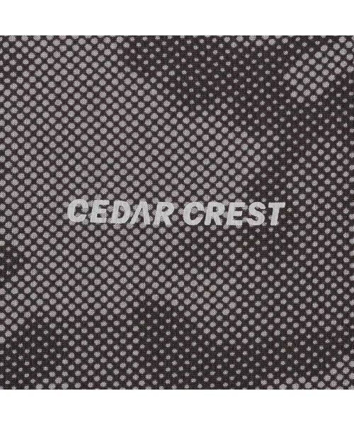 MAC HOUSE(kid's)(マックハウス（キッズ）)/CEDAR CREST セダークレスト ドライメッシュ半袖Tシャツ MH626－709/img23