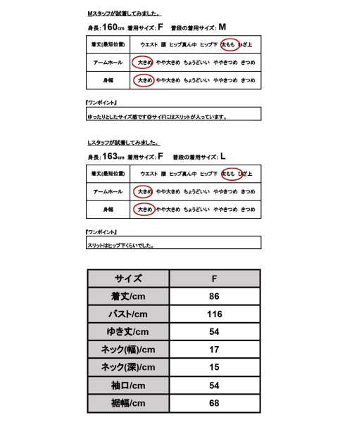 and it_(アンドイット)/リネンライクスキッパーチュニックシャツ トップス ブラウス シャツ レディース 半袖 きれいめ 春夏 麻風 リネンライク 涼感 涼し気 ゆったり 楽ちん 二の腕/img03