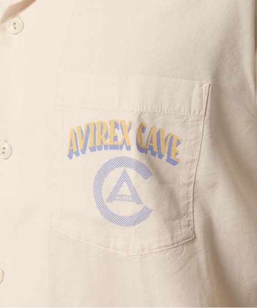 AVIREX(AVIREX)/ピンナップ アロハ シャツ / S/S PIN UP ALOHA SHIRT / アヴィレックス / AVIREX/img17