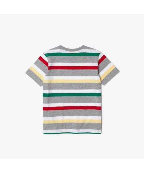 LACOSTE KIDS(ラコステ　キッズ)/マルチカラーボーダー　キッズTシャツ/img02