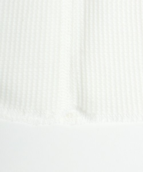 salong hameu(salong hameu)/【Salong hameu】Healthknit（ヘルスニット）クルーネック ワッフル半袖Tシャツ/ユニセックス/無地・ボーダーリンガーT/1P パックT/img05