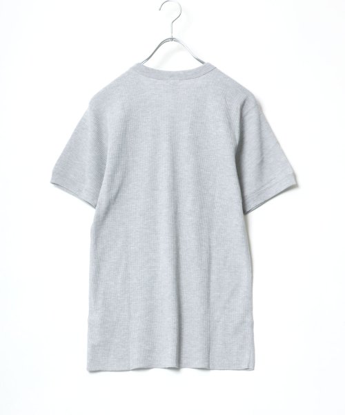 salong hameu(salong hameu)/【Salong hameu】Healthknit（ヘルスニット）クルーネック ワッフル半袖Tシャツ/ユニセックス/無地・ボーダーリンガーT/1P パックT/img56