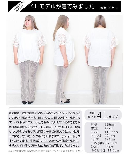 GOLD JAPAN(ゴールドジャパン)/大きいサイズ レディース ビッグサイズ 袖モチーフレース裾タックカットソー/img15