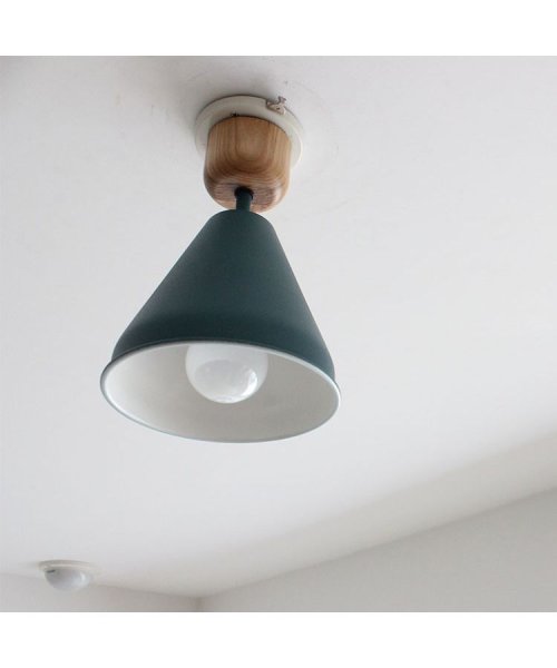 BRID(ブリッド)/COLOR & WOOD 1BULB CEILING LIGHT （電球あり）/img01