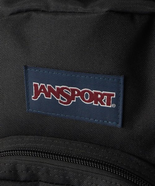 BEAUTY&YOUTH UNITED ARROWS(ビューティーアンドユース　ユナイテッドアローズ)/＜JANSPORT＞HALF PINT ミニリュック/img05