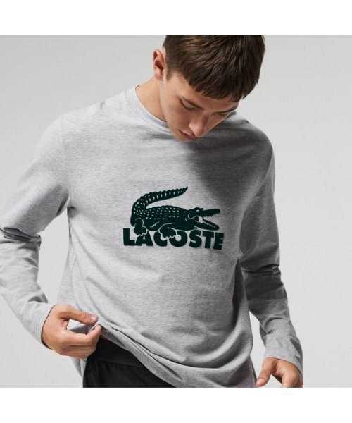 LACOSTE Mens(ラコステ　メンズ)/ヴェルヴェットロゴコットンブレンドジャージパジャマセット/img01