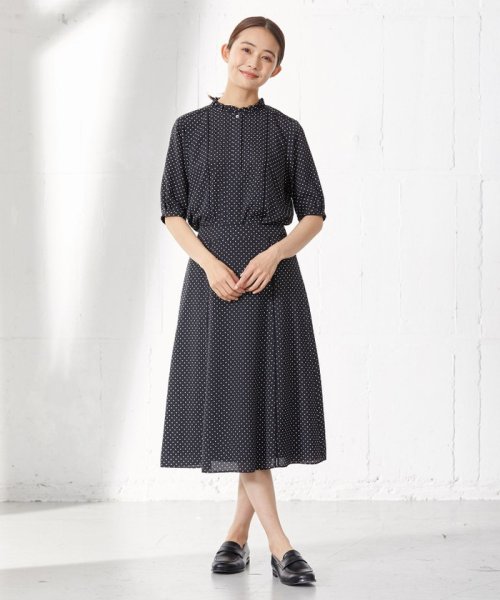 J.PRESS LADIES（LARGE SIZE）(J．プレス　レディス（大きいサイズ）)/【洗える】 ドットプリント フリル衿 カットソー/img02