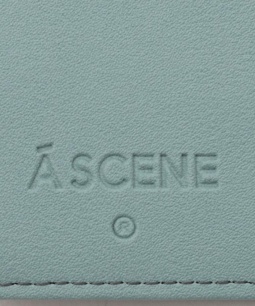 BEAVER(ビーバー)/A SCENE/エーシーン/CRAZY COLOR CASE iPhone 13/img09