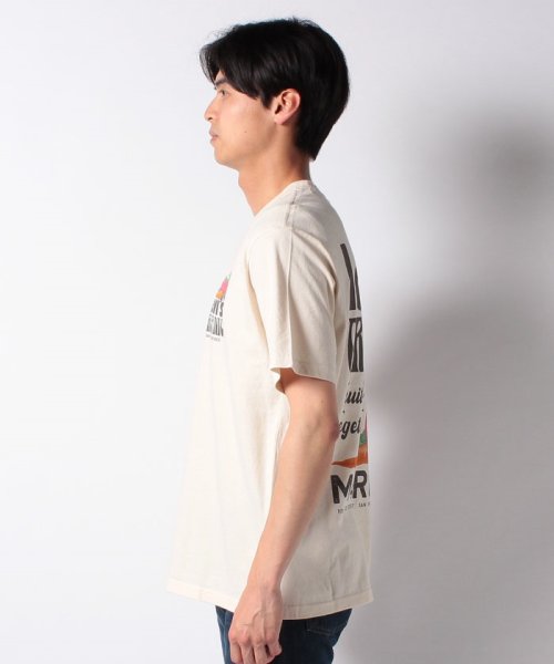 LEVI’S OUTLET(リーバイスアウトレット)/SS RELAXED FIT TEE BI FRESH UNDYED GREIG/img01
